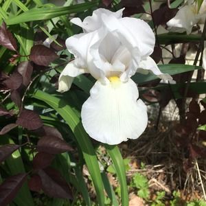 Meet your Posher, Tori